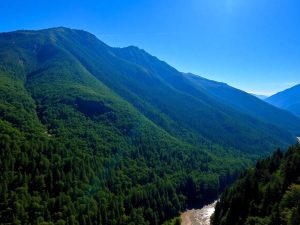 Munți acoperiți de păduri verzi sub un cer albastru.